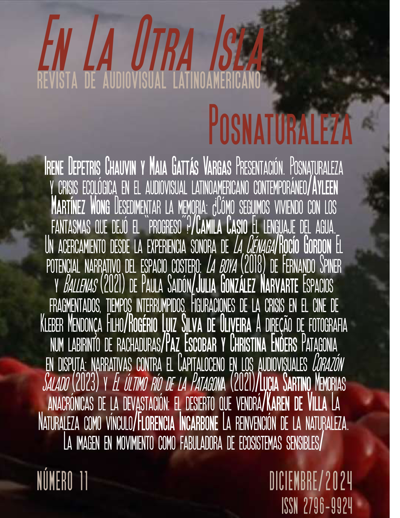 En la otra isla Nro 11